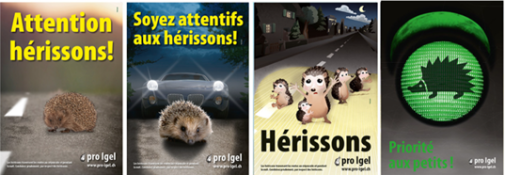pro igel FR