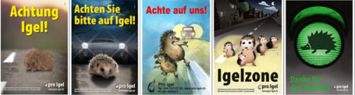 pro igel DE