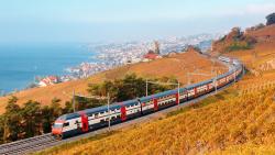 Carta giornaliera  risparmio Comune