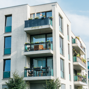 Prise de position sur la révision du droit du bail