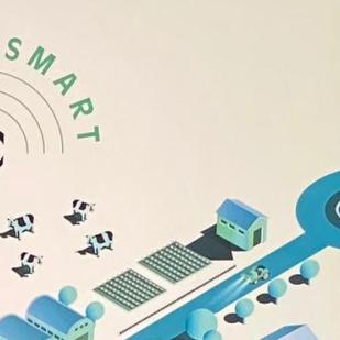 «Une véritable tempête d’innovation a balayé le niveau communal»