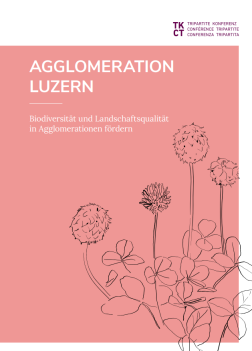 Broschürensammlung TK