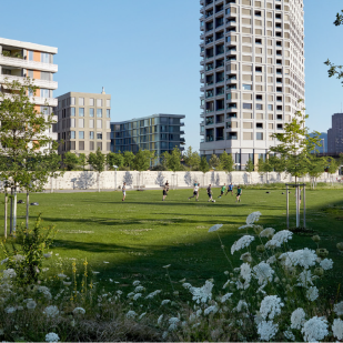 TK legt Synthesebericht zur Förderung von Biodiversität und Landschaftsqualität vor
