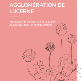 Cargo sous terrain : un projet ambitieux avec de gros impacts sur les communes 