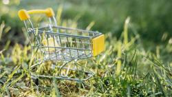 Economia circolare e  appalti sostenibili