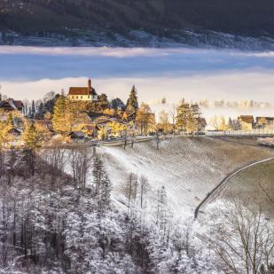 Donazione di Natale 2021 al progetto «Zäme stark in Sachslä» di Sachseln