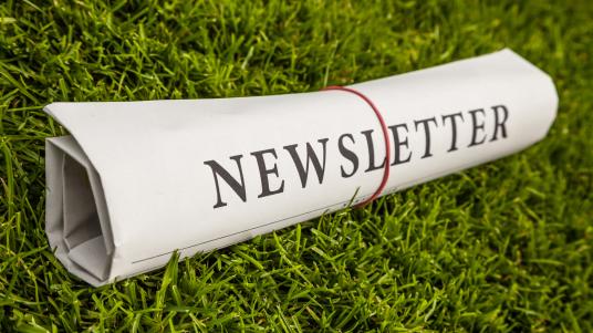 Newsletter abonnieren