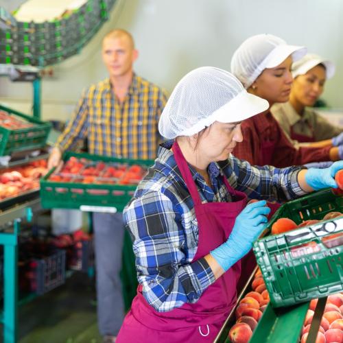 Massnahmen zur Förderung der Erwerbstätigkeit von Personen mit Schutzstatus S