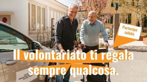 gesellschaft freiwillig it