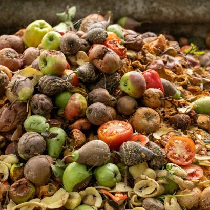 Semaine nationale contre le gaspillage alimentaire : À toi de jouer !