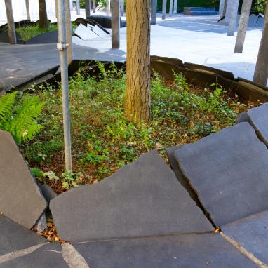 Una guida per una maggiore biodiversità negli insediamenti